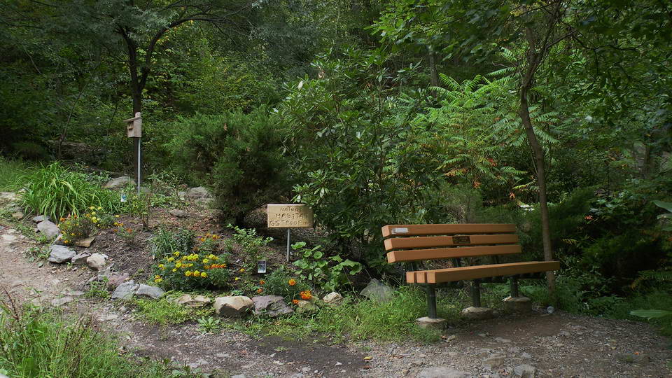 Bench-Garden