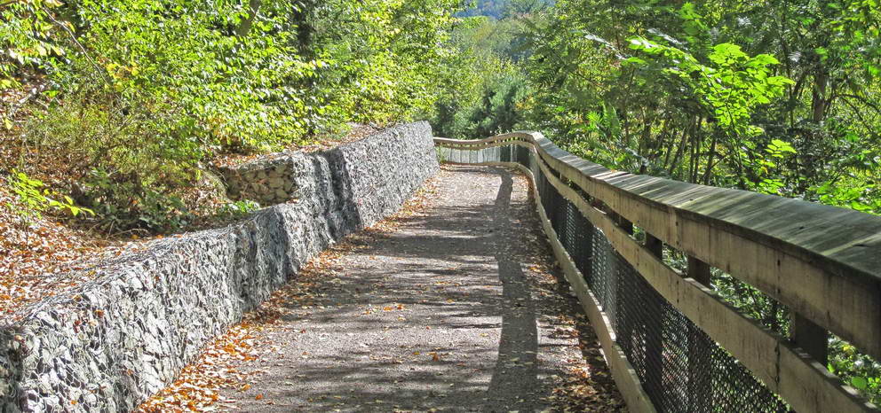 railing on trail