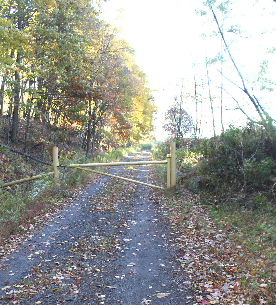 trail-gate-closed.jpg
